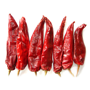  Chili (Neimeng Yidu) (Chili (Neimeng Yidu))