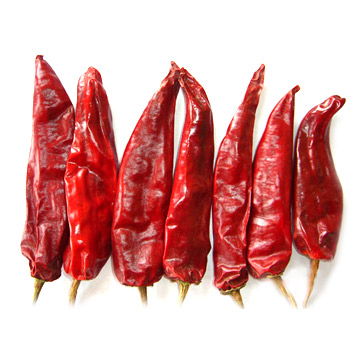 Chili (Neimeng Yidu) (Chili (Neimeng Yidu))