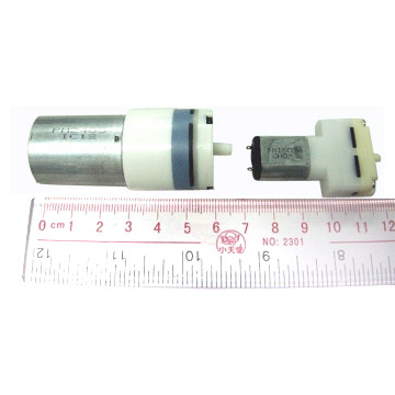  Pump Motor ( Pump Motor)