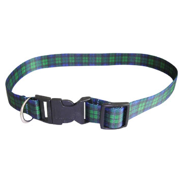  Dog Collar / Leash (Collier de chien / Laisse)
