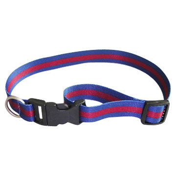  Dog Collar / Leash ( Dog Collar / Leash)