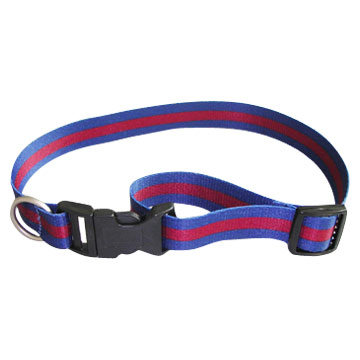  Dog Collar / Leash (Collier de chien / Laisse)
