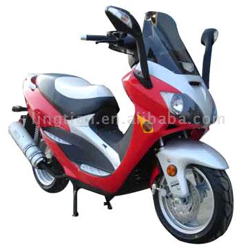  Motorcycle ( Motorcycle)