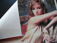  Inkjet Cotton Canvas (Inkjet-Baumwolle Leinwand)