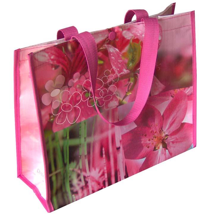 PP Gewebe Shopping Bag (PP Gewebe Shopping Bag)