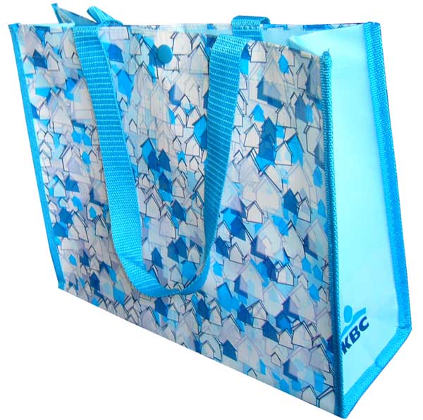 PP Gewebe Shopping Bag (PP Gewebe Shopping Bag)