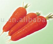  Carrots