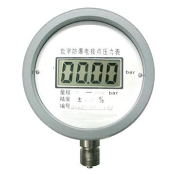  Digital Instrument ( Digital Instrument)