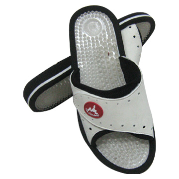  Slipper ( Slipper)