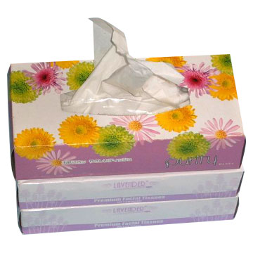 Boxed Facial Tissue (Mouchoirs en boîte)