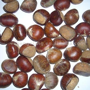  Fresh Chestnut (Свежий каштановый)