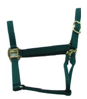  Horse Halter (Halter Horse)