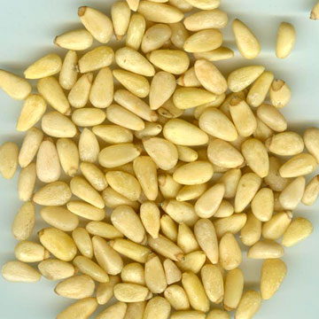  Pine Nut Kernels