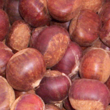  Fresh Chestnut (Свежий каштановый)