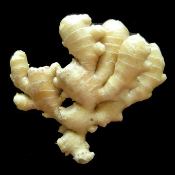  Fresh Ginger (Gingembre frais)