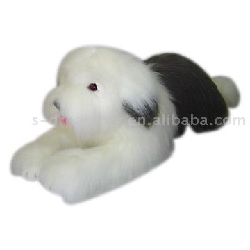  Lying Sheep Dog (Mentir Sheep Dog)