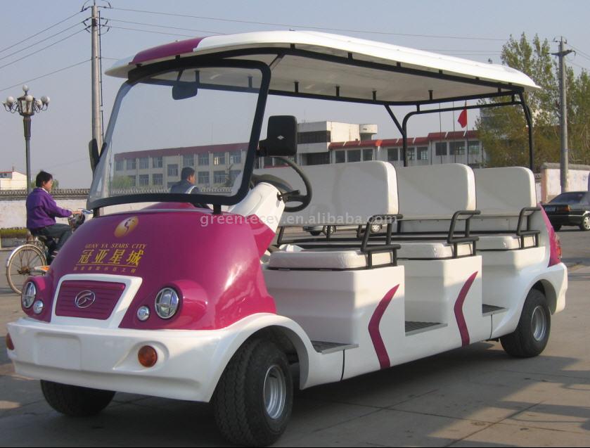  Electric Sightseeing Car (Visite de voitures électriques)