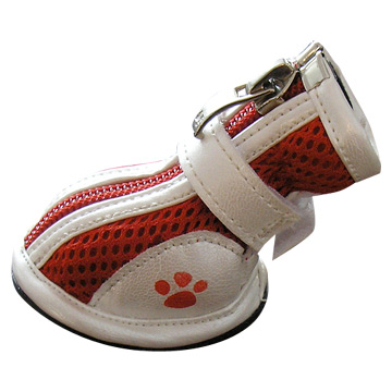  Dog Shoes