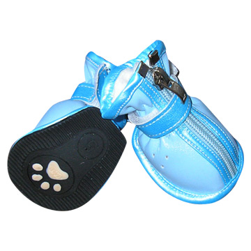  Dog Shoes