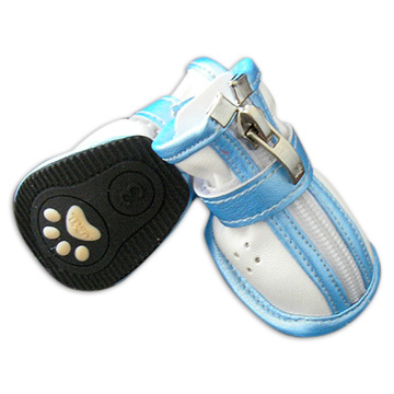  Dog Shoes