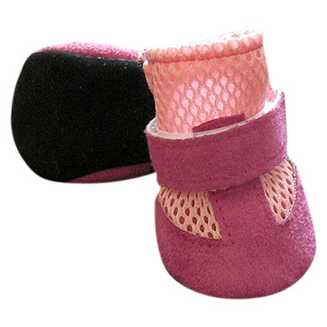  Dog Shoes