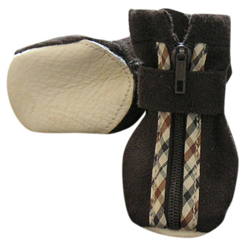  Dog Shoes