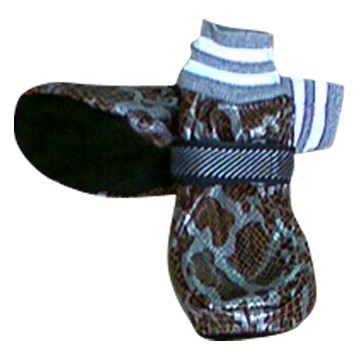  Dog Shoes