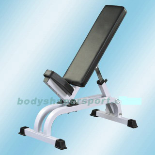  Adjustable Bench (Banc est ajustable)