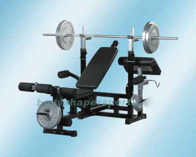  T-Bar Rowing Machine (T-Bar Rameur)