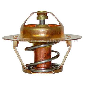  Thermostat ( Thermostat)