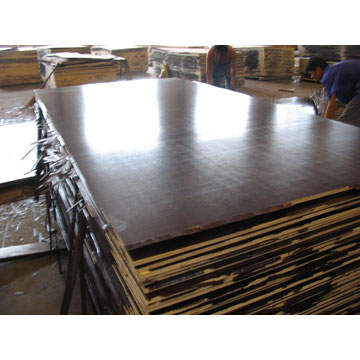  Film Faced Plywood ( Film Faced Plywood)