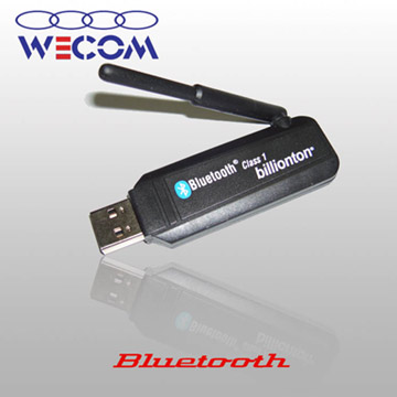  USB Blutooth Dongle (USB Blutooth Dongle)