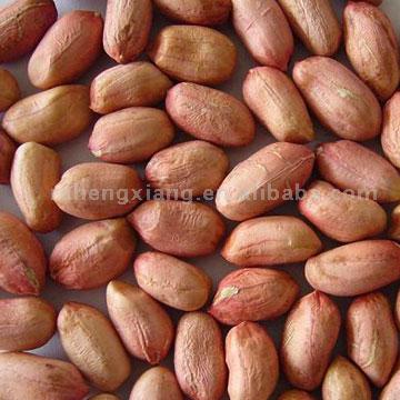  Peanuts Kernels (Arachides décortiquées)