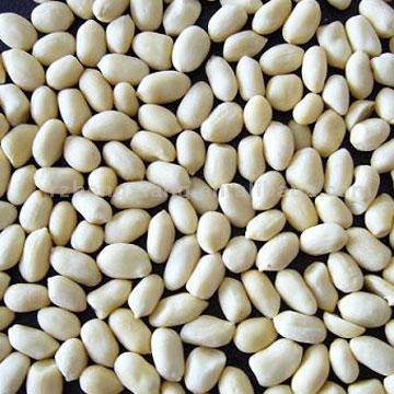  Blanched Peanut Kernels 61/71 (Arachides décortiquées blanchies 61/71)