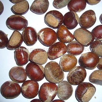  Chestnut (Каштан)