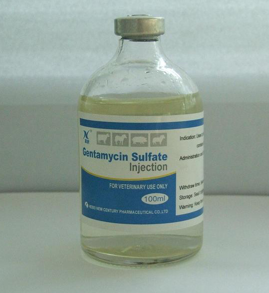  Gentamycin Sulfate Injection