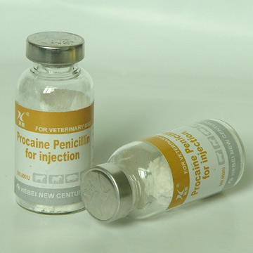  Procaine Penicillin for Injection (Procaïne pénicilline pour injection)