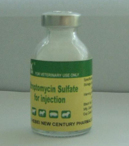  Streptomycin Sulfate for Injection (Sulfate de streptomycine pour injection)