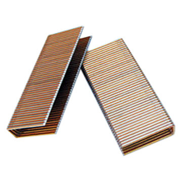  Medium Crown Staple