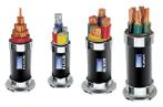  Power Cable ( Power Cable)