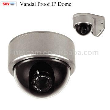  Waterproof IR IP Camera ( Waterproof IR IP Camera)