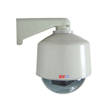  China IP Dome Camera ( China IP Dome Camera)