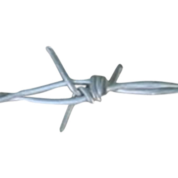 Barbed Wire (Barbed Wire)
