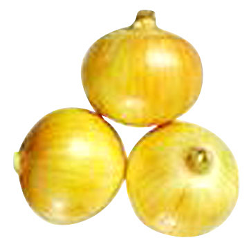  Onion (Лук)