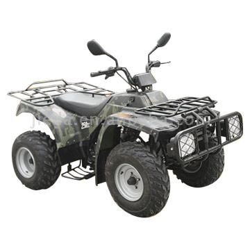  ATV