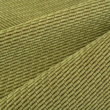  Corduroy Fabric (Polyester with Nylon) (Corduroy Fabric (polyester avec Nylon))