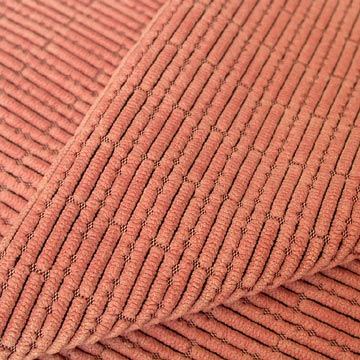  Corduroy Fabric (Polyester with Nylon) (Corduroy Fabric (polyester avec Nylon))