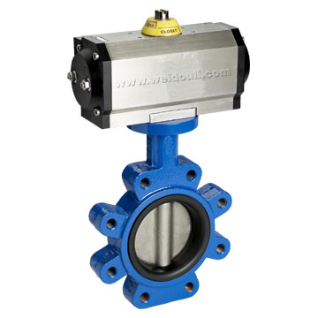  Hastelloy Butterfly Valve (Hastelloy vanne papillon)