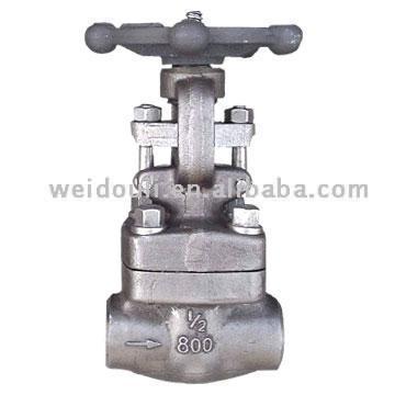 Hastelloy Gate Valve (Hastelloy Gate Valve)