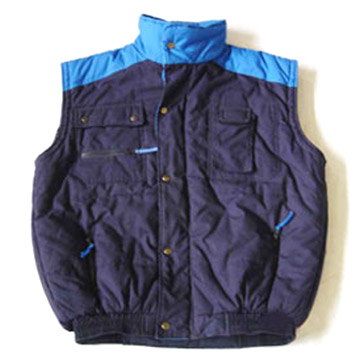  Vest ( Vest)